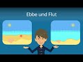 Ebbe und Flut: So entstehen sie! - Studyflix