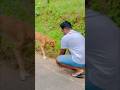 Alms For Street Doggies | Rural CookFood #shorts