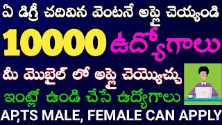 🔰 ఏదైనా డిగ్రీ చదివారా? అయితే ఈ 10000 జాబ్స్ కి అప్లై చెయ్యండి|National Career Service 10000 Jobs