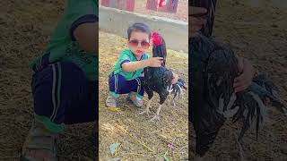 ماشااللہ  چھوٹا استاد 3ٹاٸم ونر کے ساتھ #birds #tiktokvideo #viralvideo #tiktokshorts #aseel