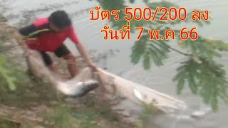 แจ้งข่าวเซียนแหเปิดลงแหบัตร 500/200 ลงวันที่ 7 พ.ค 66