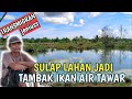 LUAR BIASA ‼️PERKEMBANGAN IKAN NILA PAK MAJAHIM/KUMIS