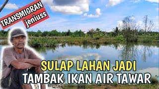 LUAR BIASA ‼️PERKEMBANGAN IKAN NILA PAK MAJAHIM/KUMIS