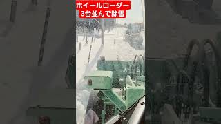 ホイールローダー神業‼️3台並んで除雪‼️#タイヤショベル#北海道#除雪車#はたらくくるま#はたらくおとうさん#パワーショベル#snow