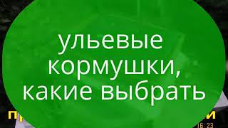 выбор кормушки для улья, и особенности применения кормушки при подкормки пчел