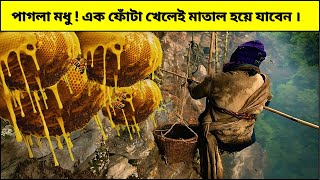 পৃথিবীর সবচেয়ে ভয়ংকর মধু যার এক ফোঁটা খেলেই আপনি মাতাল হয়ে যাবেন !