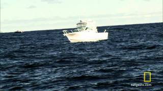 Wicked Tuna - Captain Ralph vs. Googans