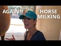 Horse Milking AGAIN?! Part Two Of Milk Your Horse
