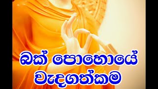 බක් පුර පසළොස්වක පොහොය දිනයේ වැදගත්කම | Importance of Bak Full Moon Poya Day | 3D Animation