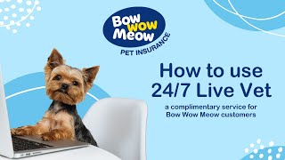 How to use the complimentary Live Vet service