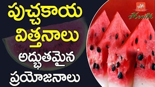 పుచ్చకాయ విత్తనాలు అద్భుతమైన ప్రయోజనాలు| amazing  benefits of watermelon seeds| YOYO TV Health