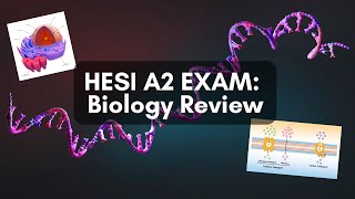 Score HIGH! HESI A2 Biology Section | Full Review