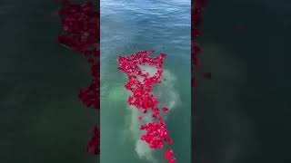 Beyond the Sea Memorial Services - Burial at Sea