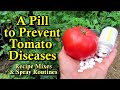Improve the Health and Production of Tomato Plants with This Aspirin Trick & A Tomato Planting Hole