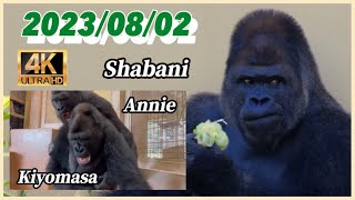 喧嘩するほど仲が良い義母兄妹のキヨマサとアニー【東山動物園】2023/08/02