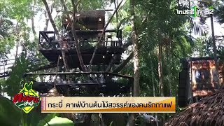 คาเฟ่บ้านต้นไม้ สวรรค์ของคนรักกาแฟ | 17-02-62 | ตะลอนข่าว