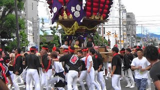 令和4年7月3日 貝塚太鼓台祭り 試験担ぎ 　大北町、近木町、中北町、中町、西町、堀之町、南町