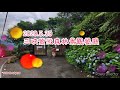 2020.5.30 三峽紫微森林景觀餐廳~鳥瞰大台北美景吃美食