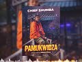 Chief Shumba Hwenje - Pamukwidza ( Official Audio)