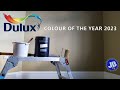 Dulux Colour of the Year 2023 - WILD WONDER™