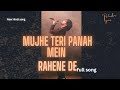 MUJHE TERI PANAH MEIN RAHNE DE ( New Hindi song 2024 )