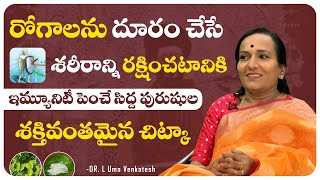 ఇమ్యూనిటీ పెంచే సిద్ద పురుషుల శక్తివంతమైన చిట్కా!How to Increase Immunity with Ancient Siddha Tips?