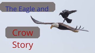 The Eagle and Crow [လင္းယုန္ငွက္ ႏွင့္ က်ီးကန္း]