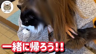 【野良猫保護】病院に通う元野良猫に会いに来たお姉ちゃんが離れられなくなりました…