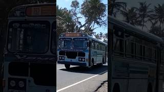 🚌ඇල්පිටිය -ගාල්ල|බස් |bus#leylandbus#privatebus#busdriving#srilanka#leyland#bus#🚌,