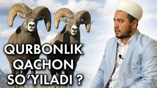 Shukurulloh Domla | Qurbonlik ehsoningizga mani chaqirmang