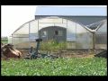 hoophouse construction a pfi field day part 1