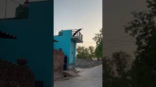 My Village-ZAHIDPUR(Kosli) HR43 #shorts #jangra #kosli #rewari #haryana #ytshorts ❤️