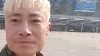 Live 2019 Korea Fishing Show 낚시박람회 부산