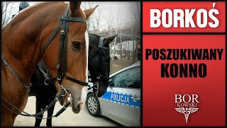 Motoambulans - galopem na pomoc, zderzenie, potrącenie, uraz głowy...