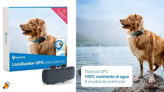 Localizador GPS Tractive para perros