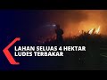 Lahan Gambut Seluas 4 Hektar Ludes Terbakar, Warga Padamkan Kobaran Api Seorang Diri