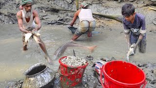 রাস্তার পাশে পুকুর সেচ দিয়ে মাছ ধরা / village pond fish catching videos / বড় মাছ ধরা / big fish