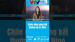 Chile nắng nóng bất thường do EL Nino | VTVWDB