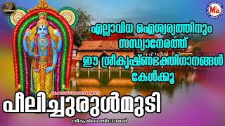 പീലിച്ചുരുൾമുടി | ഗുരുവായൂരപ്പഭക്തിഗാനങ്ങൾ | Hindu Devotional Songs Malayalam | SreeKrishna Songs |