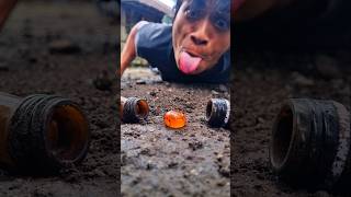 It's amazing how these orange candies can attract those cute millipedes #shorts #millipede