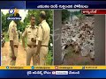 multiple dead animals found at dumping site in jankampet