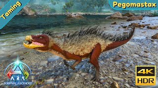 ARK Survival Ascended : Tame a Pegomastax