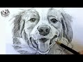 How to Draw a Dog in Pencil Step by Step and Easy