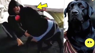 Sushant Singh Rajput Dog Video Playing With Him | Sushant Singh Rajput LOVED His Dog Fudge