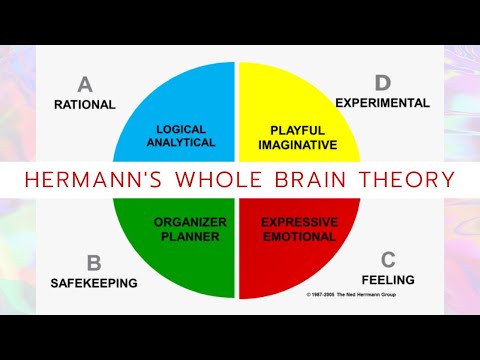 How does the whole brain theory affect learning?