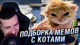 КОТЫ КОТОРЫМ НЕЧЕГО ТЕРЯТЬ | РЕАКЦИЯ НА ПОДБОРКУ МЕМОВ С КОТАМИ