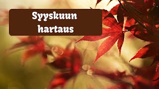 Syyskuun videohartaus