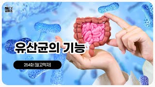 프로바이오틱스의 역할, 유산균을 먹어야 하는 이유 [유산균 특집❷]