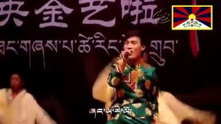 才让东珠 Tsering Dhondup  -  英雄回来的岁月 Tibetan song 2013