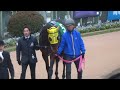 プラチナヴォイス、きさらぎ賞のパドック。京都競馬場、現地映像